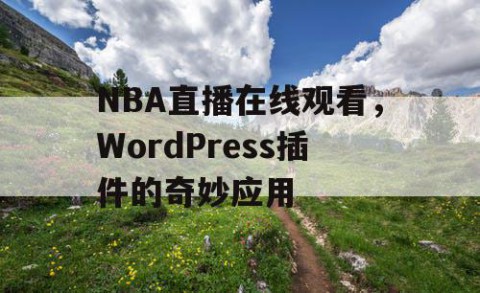 NBA直播在线观看，WordPress插件的奇妙应用