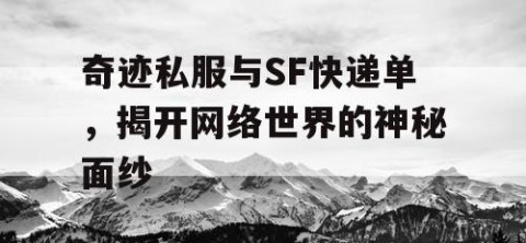 奇迹私服与SF快递单，揭开网络世界的神秘面纱