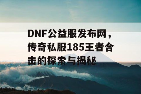 DNF公益服发布网，传奇私服185王者合击的探索与揭秘