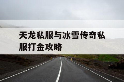 天龙私服与冰雪传奇私服打金攻略