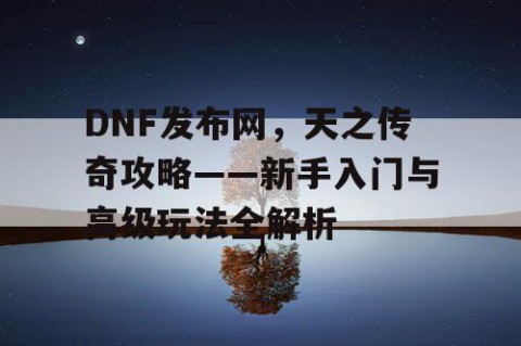 DNF发布网，天之传奇攻略——新手入门与高级玩法全解析