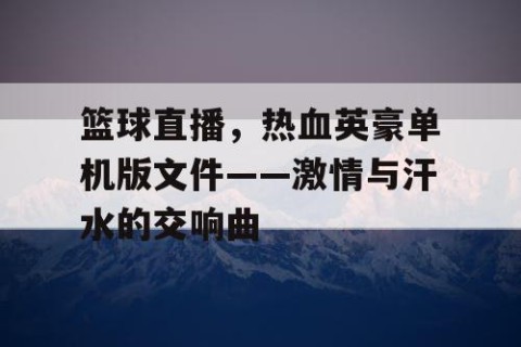 篮球直播，热血英豪单机版文件——激情与汗水的交响曲
