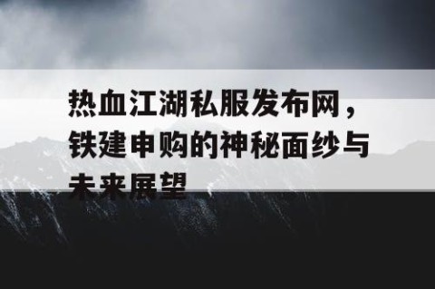 热血江湖私服发布网，铁建申购的神秘面纱与未来展望