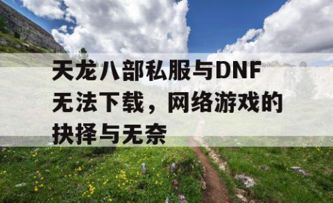天龙八部私服与DNF无法下载，网络游戏的抉择与无奈