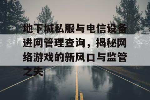 地下城私服与电信设备进网管理查询，揭秘网络游戏的新风口与监管之失