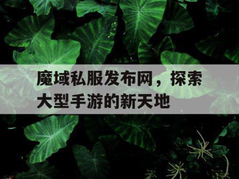 魔域私服发布网，探索大型手游的新天地