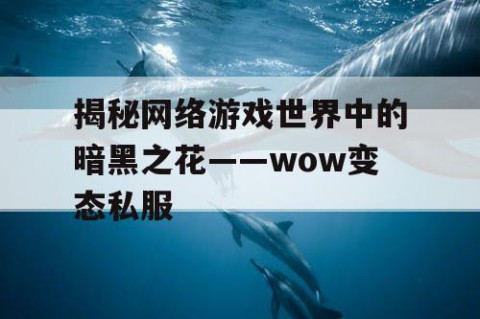 揭秘网络游戏世界中的暗黑之花——wow变态私服