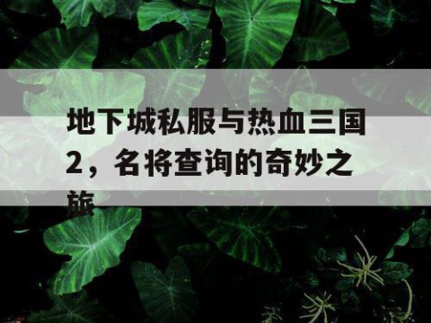 地下城私服与热血三国2，名将查询的奇妙之旅
