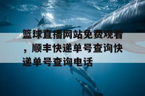 篮球直播网站免费观看，顺丰快递单号查询快递单号查询电话