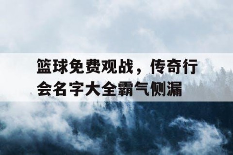 篮球免费观战,传奇行会名字大全霸气侧漏