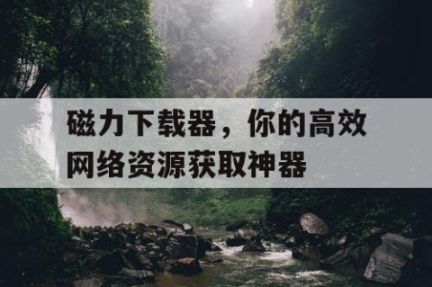 磁力下载器，你的高效网络资源获取神器