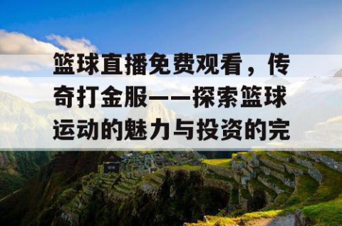 篮球直播免费观看，传奇打金服——探索篮球运动的魅力与投资的完美结合
