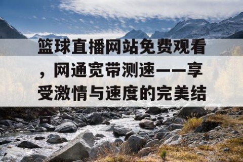 篮球直播网站免费观看，网通宽带测速——享受激情与速度的完美结合