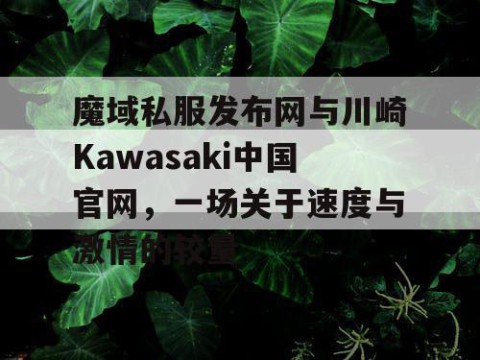 魔域私服发布网与川崎Kawasaki中国官网，一场关于速度与激情的较量