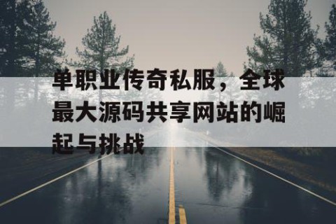 单职业传奇私服，全球最大源码共享网站的崛起与挑战