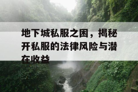 地下城私服之困，揭秘开私服的法律风险与潜在收益
