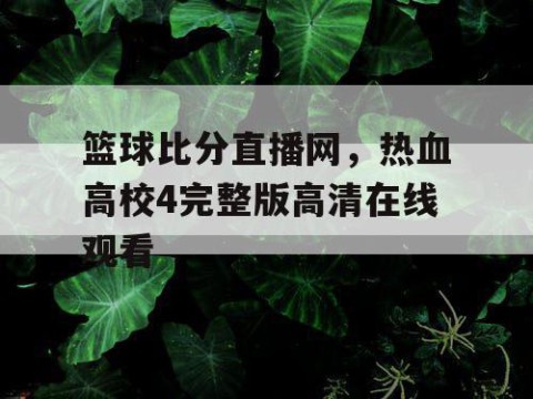 篮球比分直播网,热血高校4完整版高清在线观看
