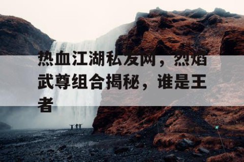 热血江湖私发网，烈焰武尊组合揭秘，谁是王者