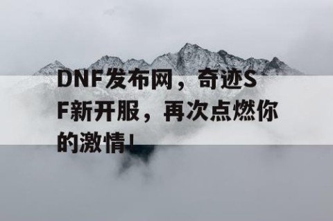 DNF发布网，奇迹SF新开服，再次点燃你的激情！