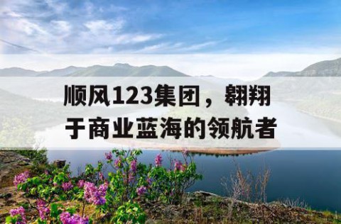 顺风123集团，翱翔于商业蓝海的领航者