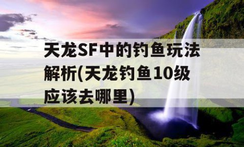 天龙SF中的钓鱼玩法解析(天龙钓鱼10级应该去哪里)