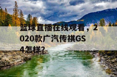 篮球直播在线观看，2020款广汽传祺GS4怎样？