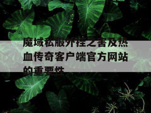 魔域私服外挂之害及热血传奇客户端官方网站的重要性