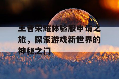 王者荣耀体验服申请之旅，探索游戏新世界的神秘之门