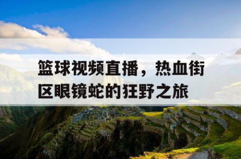 篮球视频直播，热血街区眼镜蛇的狂野之旅