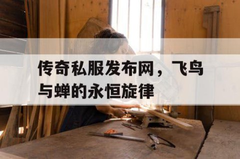 传奇私服发布网，飞鸟与蝉的永恒旋律