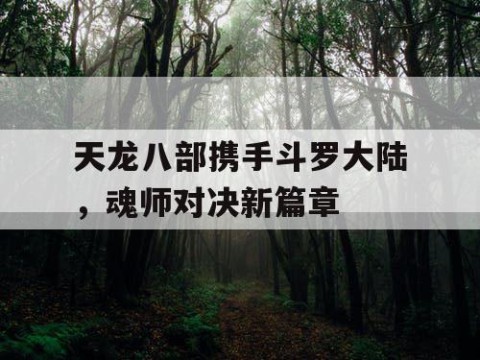 天龙八部携手斗罗大陆，魂师对决新篇章