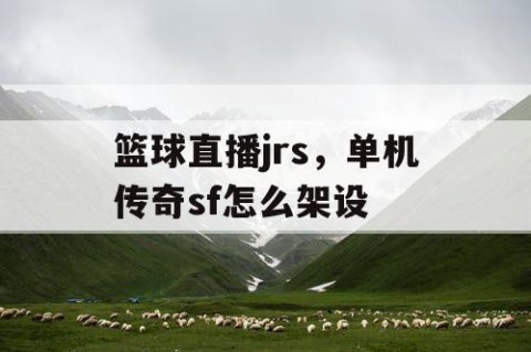 篮球直播jrs,单机传奇sf怎么架设