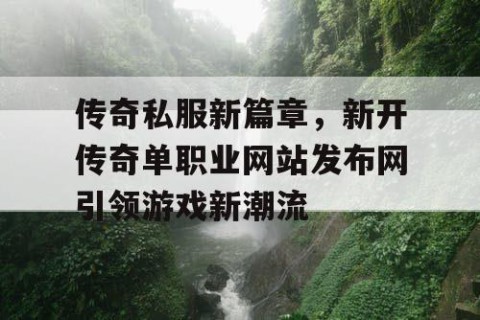 传奇私服新篇章，新开传奇单职业网站发布网引领游戏新潮流