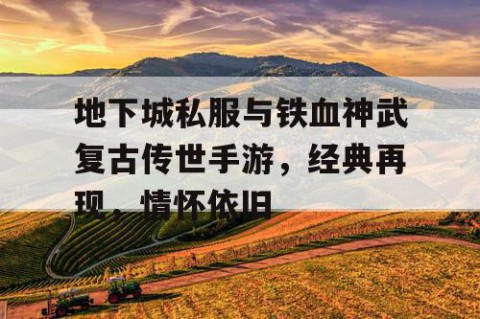 地下城私服与铁血神武复古传世手游，经典再现，情怀依旧