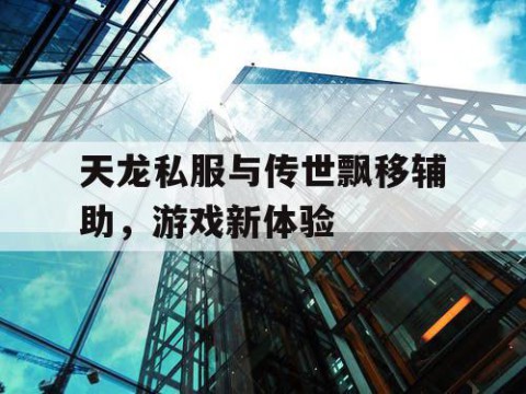 天龙私服与传世飘移辅助，游戏新体验