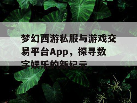 梦幻西游私服与游戏交易平台App，探寻数字娱乐的新纪元