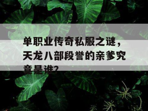 单职业传奇私服之谜，天龙八部段誉的亲爹究竟是谁？