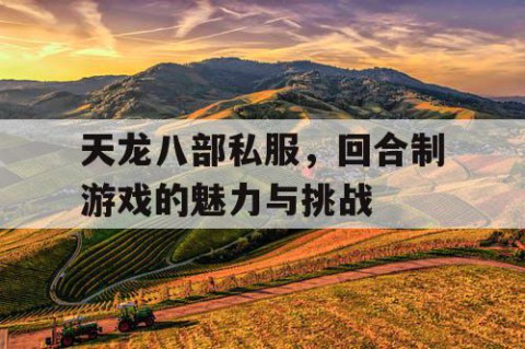 天龙八部私服，回合制游戏的魅力与挑战