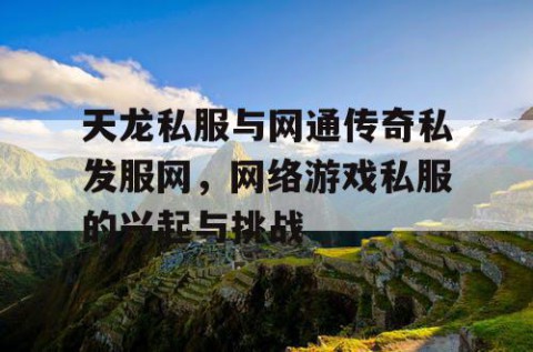 天龙私服与网通传奇私发服网，网络游戏私服的兴起与挑战