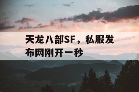 天龙八部SF，私服发布网刚开一秒