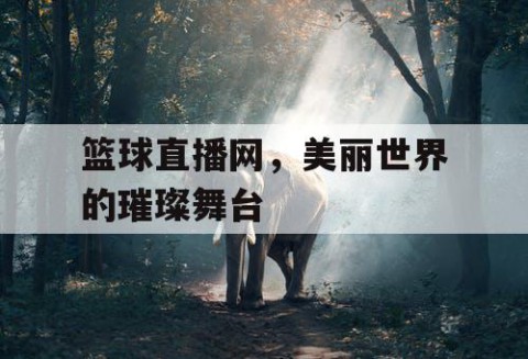 篮球直播网,美丽世界的璀璨舞台