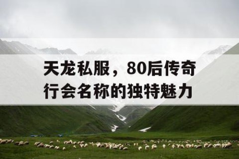 天龙私服，80后传奇行会名称的独特魅力
