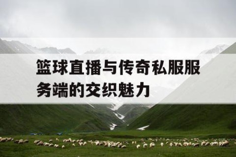 篮球直播与传奇私服服务端的交织魅力