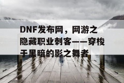 DNF发布网，网游之隐藏职业刺客——穿梭于黑暗的影之舞者