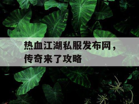 热血江湖私服发布网，传奇来了攻略