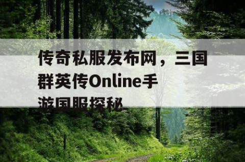 传奇私服发布网，三国群英传Online手游国服探秘