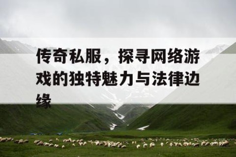 传奇私服，探寻网络游戏的独特魅力与法律边缘