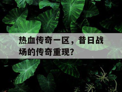 热血传奇一区，昔日战场的传奇重现？