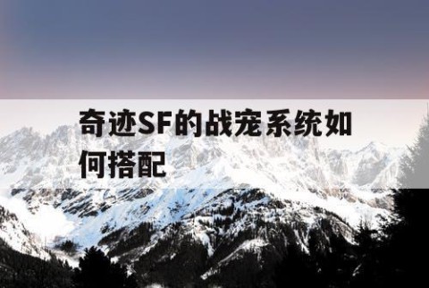 奇迹SF的战宠系统如何搭配