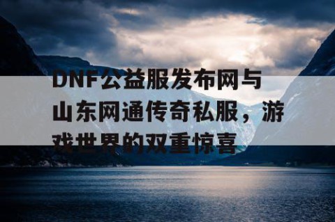 DNF公益服发布网与山东网通传奇私服，游戏世界的双重惊喜
